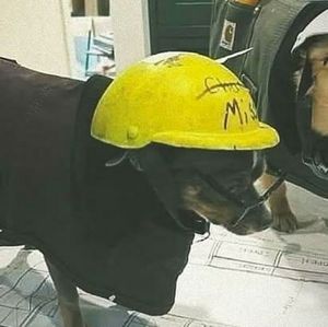 Meet your Posher, Jesus